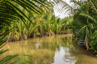 Mekong Delta Vietnam görünümünü
