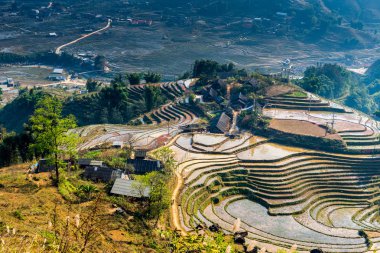 Vietnam, Sapa - Ricefields görünümünü
