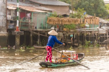 Mekong Delta Vietnam görünümünü
