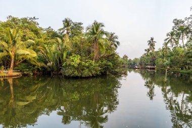 Mekong Delta Vietnam görünümünü