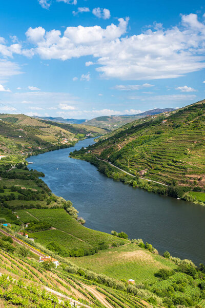 Landscape of the Douro river regionin Portugal -  Vineyards