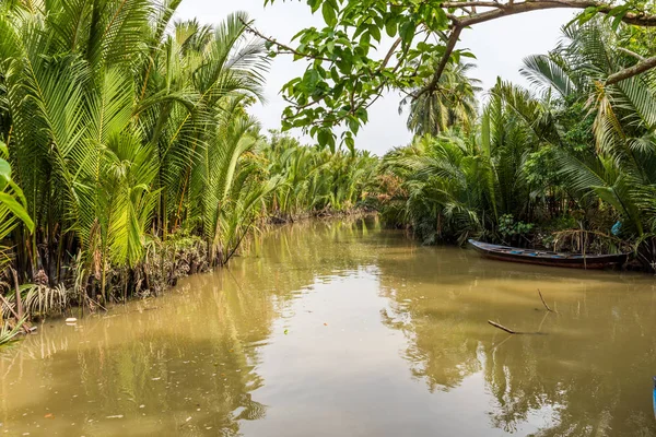 Vista Del Delta Del Mekong Vietnam — Foto de Stock