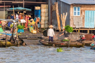 Mekong Delta Vietnam görünümünü