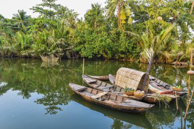 Mekong Delta Vietnam görünümünü