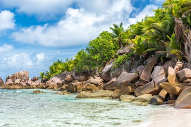 Güzel sahil - Anse Cocos - La Digue, Seyşeller