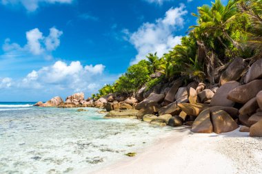 Güzel sahil - Anse Cocos - La Digue, Seyşeller