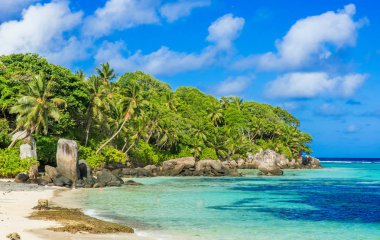 Beautiful beach - Anse aux Pins - Mahe, Seychelles clipart