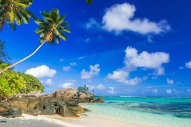Güzel sahil - Anse aux Pins - Mahe, Seyşeller