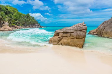 Anse Patates - La Digue, Seyşeller 'deki tropikal plaj