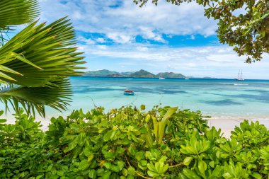 Anse la Reunion - Seyşeller, La Digue Adası