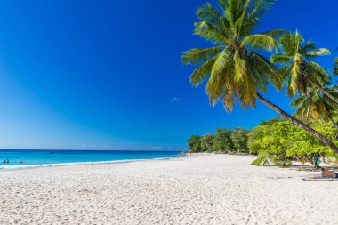 Baie Beau Vallon - ada Mahe üzerinde Cennet plaj - güzel sahil Seyşeller