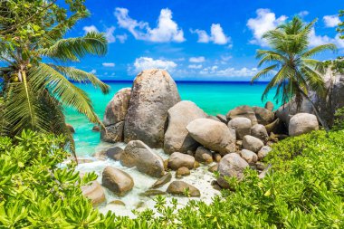 Tropik sahil de Seyşeller, Mahe