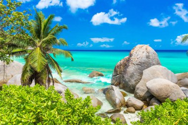 Tropical coast in Seychelles, Mahe clipart