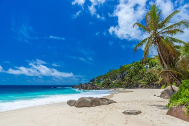 Güzel de Seyşeller Adası Mahe kumsalda