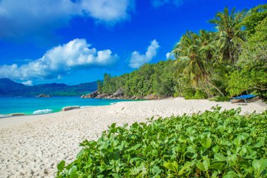 Anse Soleil - Cennet plaj tropikal ada Mahe