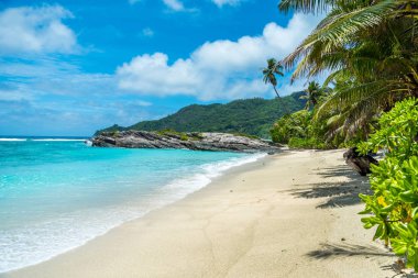 Anse Forbans - de Seyşeller, Mahe tropikal plaj