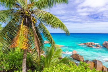 Tropik sahil, La Digue, Seyşeller - cennet hedef tatil için