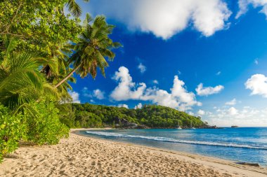 Anse Soleil - Cennet plaj tropikal ada Mahe