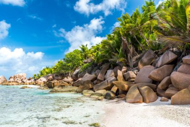 Güzel sahil - Anse Cocos - La Digue, Seyşeller