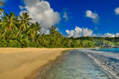 Anse Soleil - Cennet plaj tropikal ada Mahe