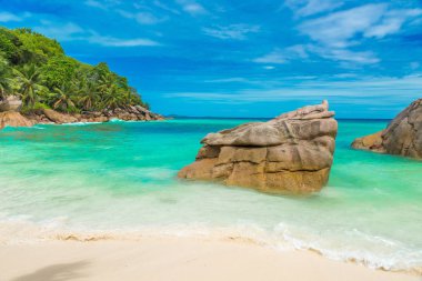Anse Patates - La Digue, Seyşeller 'deki tropikal plaj