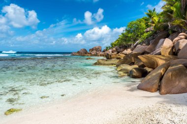 Güzel sahil - Anse Cocos - La Digue, Seyşeller