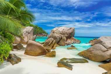 Anse Patates - La Digue, Seyşeller 'deki tropikal plaj
