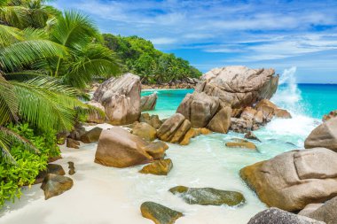 Anse Patates - La Digue, Seyşeller 'deki tropikal plaj