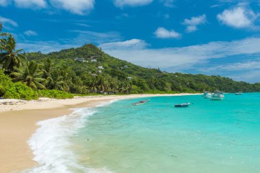 De Seyşeller, Mahe tropikal plaj