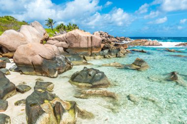 Güzel sahil - Anse Cocos - La Digue, Seyşeller