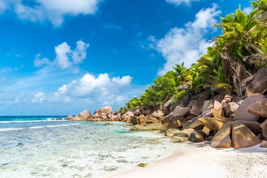 Güzel sahil - Anse Cocos - La Digue, Seyşeller
