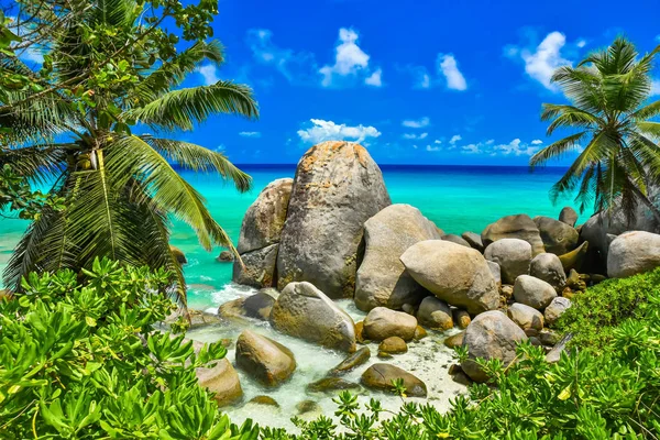 Tropische Kust Seychellen Mahe — Stockfoto