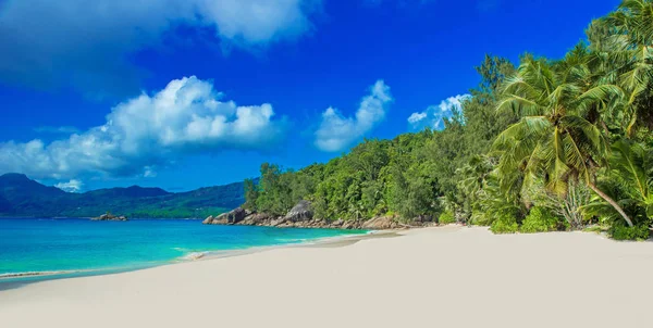Anse Soleil Spiaggia Paradisiaca Sull Isola Tropicale Mahe — Foto Stock