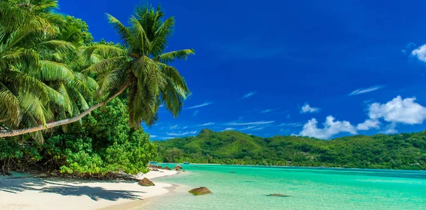 Anse Een Mouche Paradijs Strand Mahe Seychellen — Stockfoto