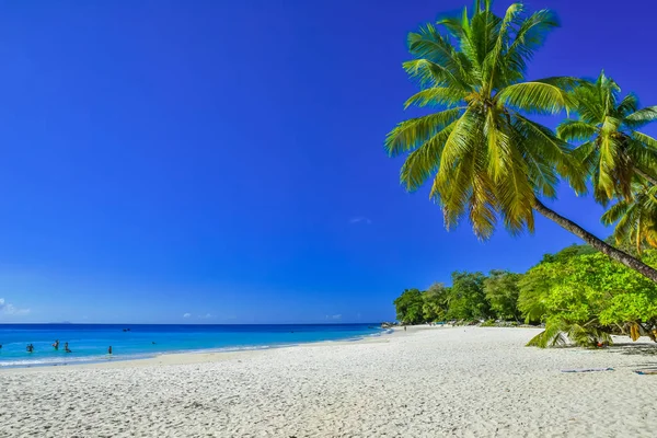 Baie Beau Vallon Paradise Beach Ostrově Mahé Krásné Pobřeží Seychel — Stock fotografie