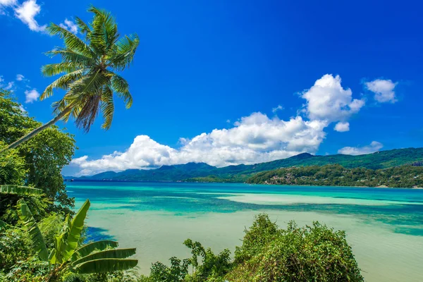 Anse Mouche Playa Paradisíaca Seychelles Mahe — Foto de Stock