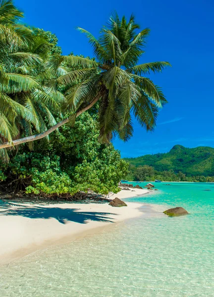 Anse Fache Paradise Beach Seychelles Mahe — стоковое фото