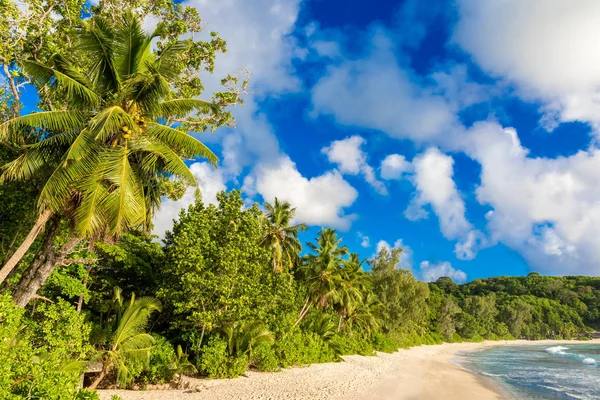 Anse Soleil Paradise Beach Tropisk Mahe — Stockfoto