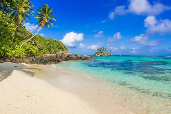 Hermosa Playa Anse Aux Pins Mahe Seychelles —  Fotos de Stock