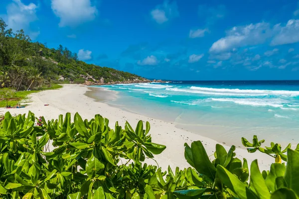 Petite Anse Digue Alle Seychelles Spiaggia Tropicale Paradisiaca — Foto Stock