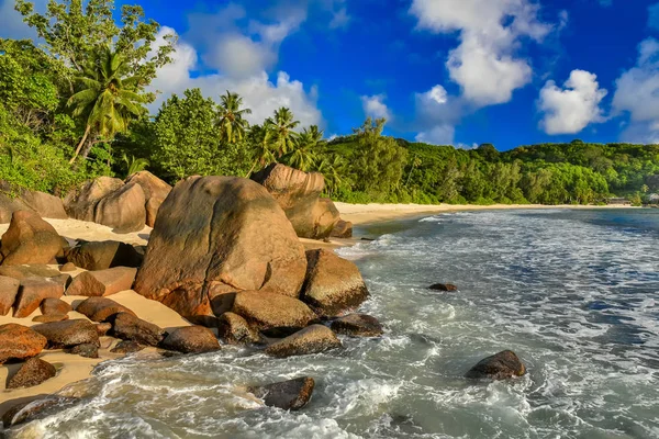 Anse Soleil Plage Paradisiaque Sur Île Tropicale Mahe — Photo