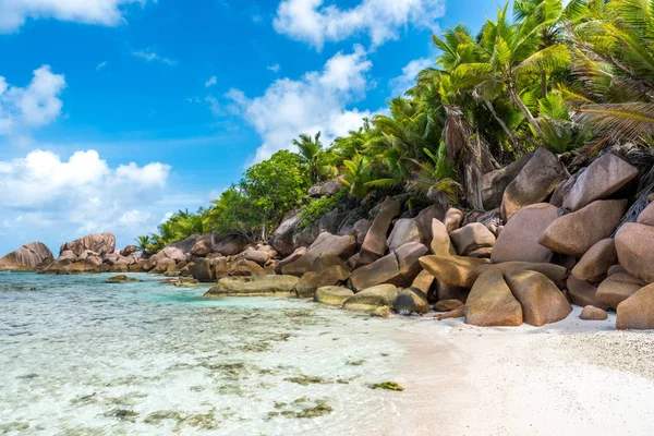 Όμορφη Παραλία Anse Cocos Digue Σεϋχέλλες — Φωτογραφία Αρχείου