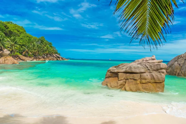 Anse Patates - La Digue, Seyşeller 'deki tropikal plaj