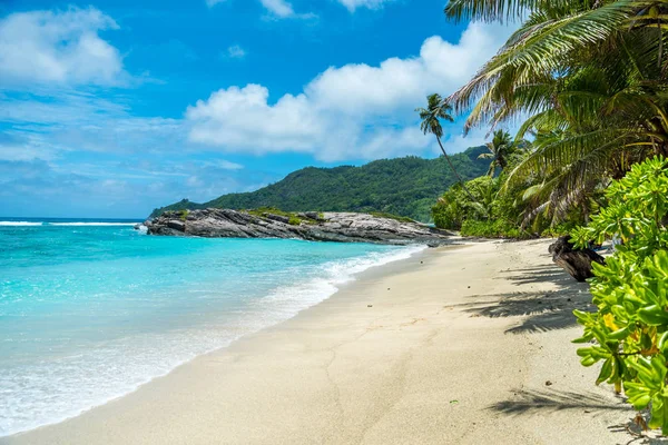 Anse Forbans - de Seyşeller, Mahe tropikal plaj