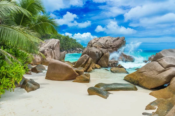 Anse Patates - La Digue, Seyşeller 'deki tropikal plaj