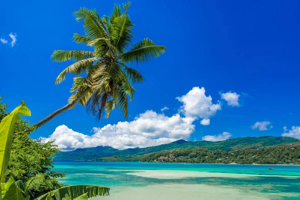 Anse Mouche Paradise Beach Seychelách Mahé — Stock fotografie