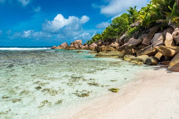 Güzel sahil - Anse Cocos - La Digue, Seyşeller