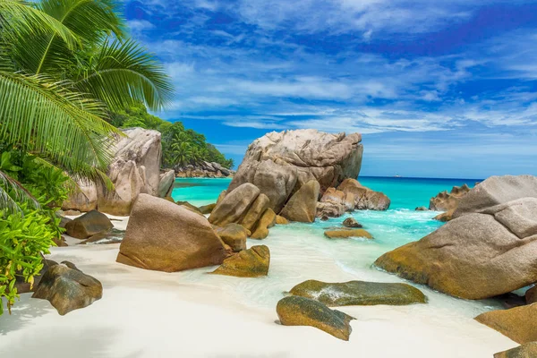 Anse Patates - La Digue, Seyşeller 'deki tropikal plaj
