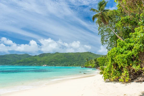 Tropisch Strand Mahe Seychellen — Stockfoto