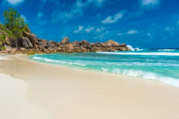 Tropical Grand Anse Island Digue Seychelles — стокове фото